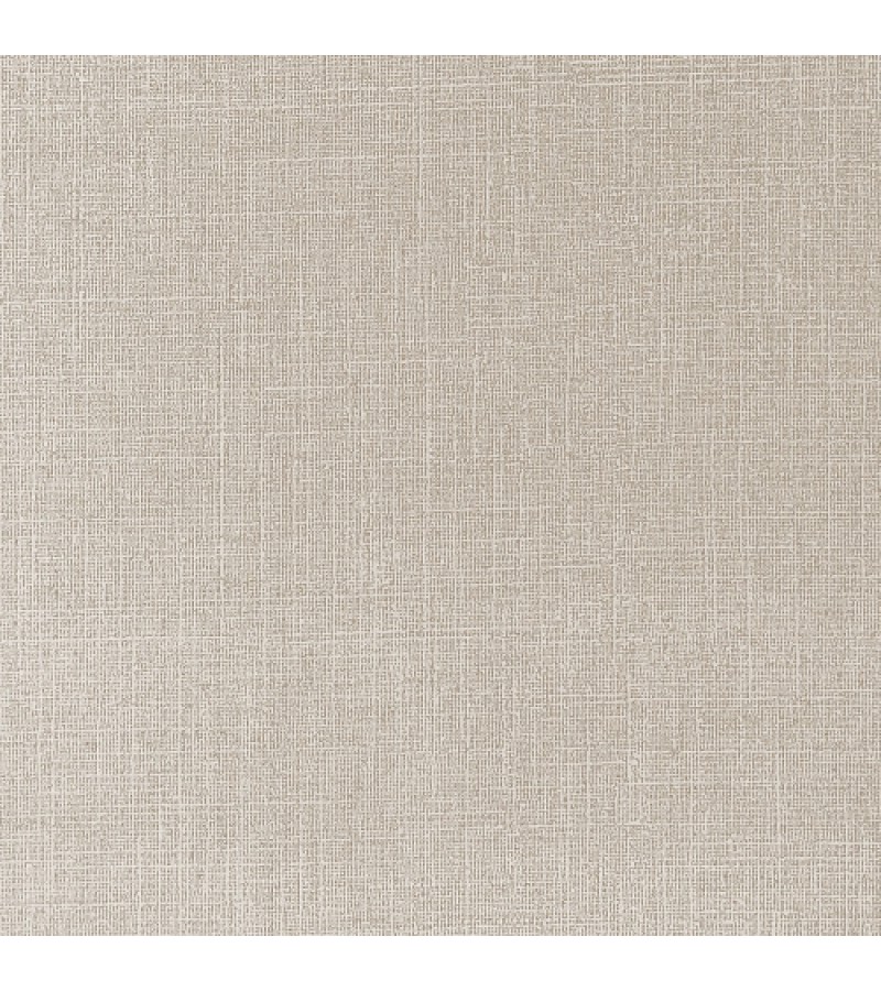 Wallpaper on the basis of vinyl flizelin # 60350-06 Profi Deco 1.06*10 mt. Erismann