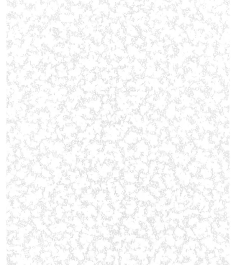 Wallpaper on vinyl non-woven base # 2532-1 ModeViles 1.06*25 mt. Erismann