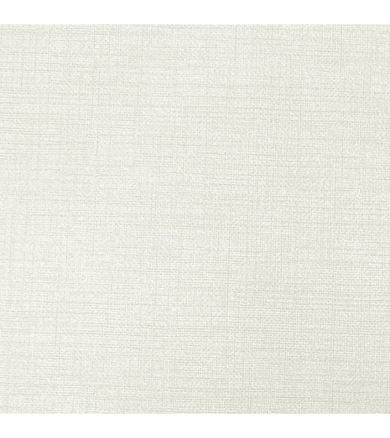 Wallpaper on the basis of vinyl flizelin # 4249-2 Profi Deco 1.06*10 mt. Erismann