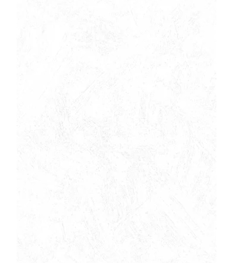 Wallpaper on vinyl non-woven base # 2540-1 ModeViles 1.06*25 mt. Erismann
