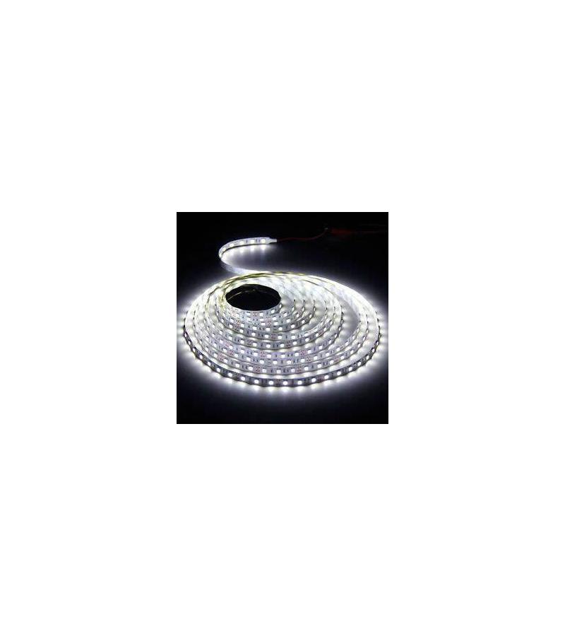 ლენტური განათება  SND-21  12V-5M  თეთრი