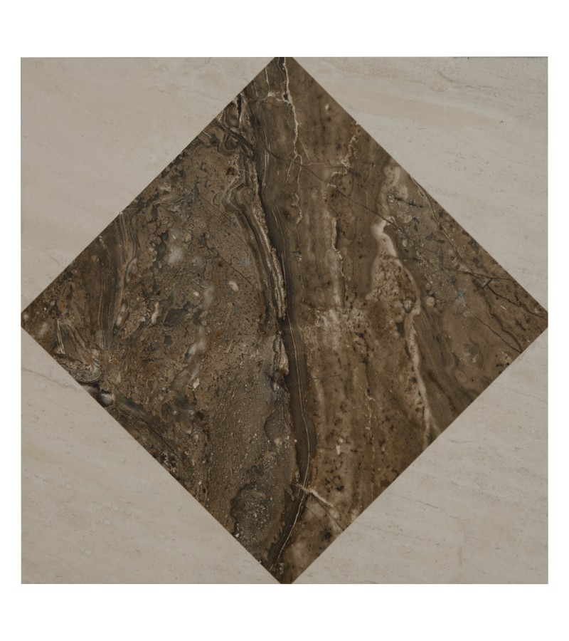 ceramic. Tile RADO TRANS 50X50