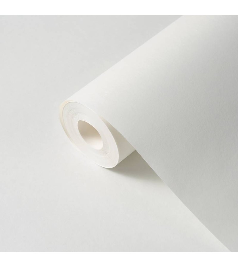 Wallpaper on vinyl non-woven base # 2549-1 ModeViles 1.06*25 mt. Erismann