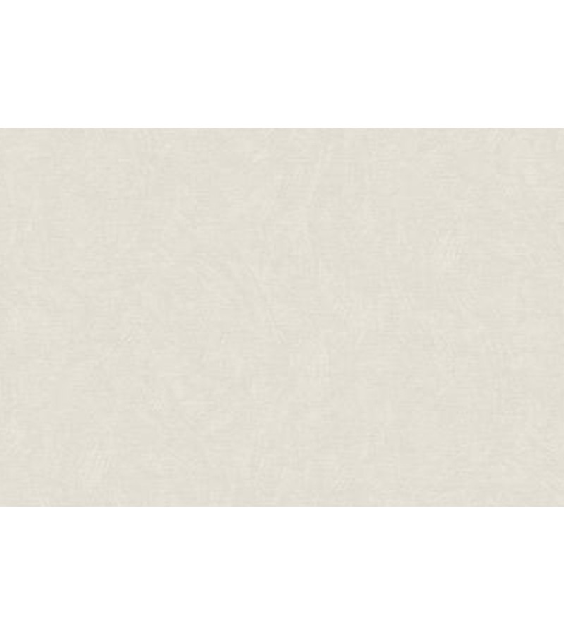 Wallpaper on vinyl fleece base # 60189-03 Profi Deco 1.06*10 mt. Erismann