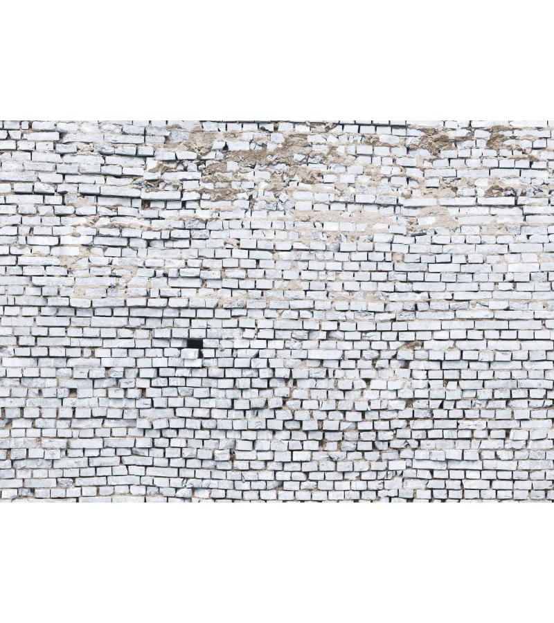 Фотообои 368х254см (8 панелей) White Brickt 8-881 коричневые. КОМАР
