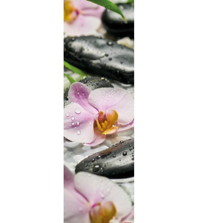 ფოტო შპალიერი  254x184cm  Wellness  SD318  მწარ. KOMAR