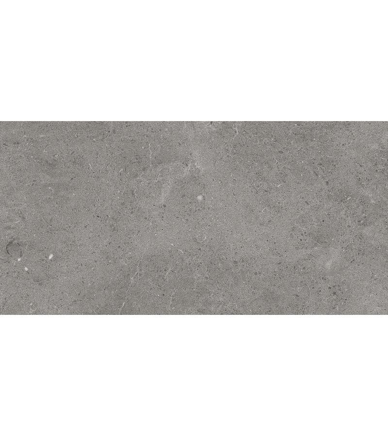 Ceramogranite MUS. SERENASTONE GRAY 017-L 60*120 ''TAU CERAMICA''