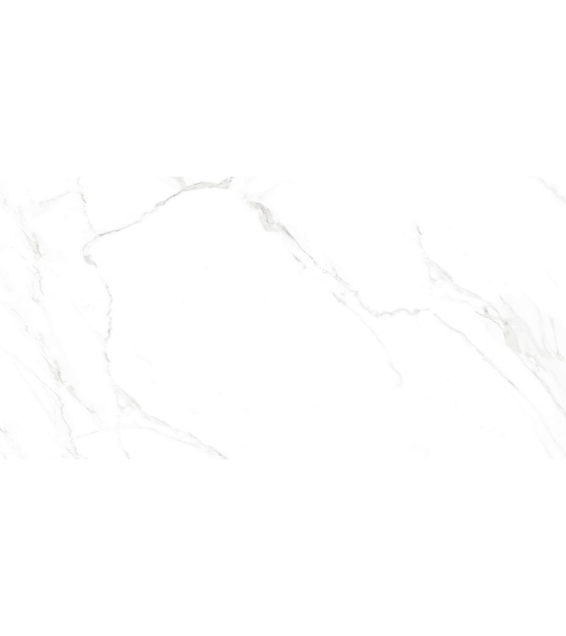 Ceramic granite NAOS BLANCO PL R 60*120 EMOTION.SL
