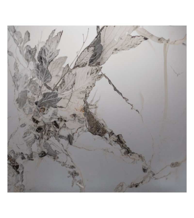 Ceramic granite LILAK WHITE TRANS 60X60