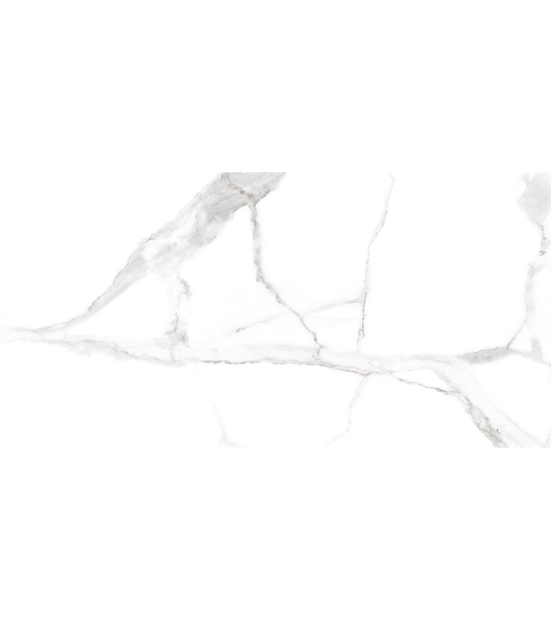 კერამოგრანიტი  ALSACIA BLANCO PL   60X120  CICOGRES S.A