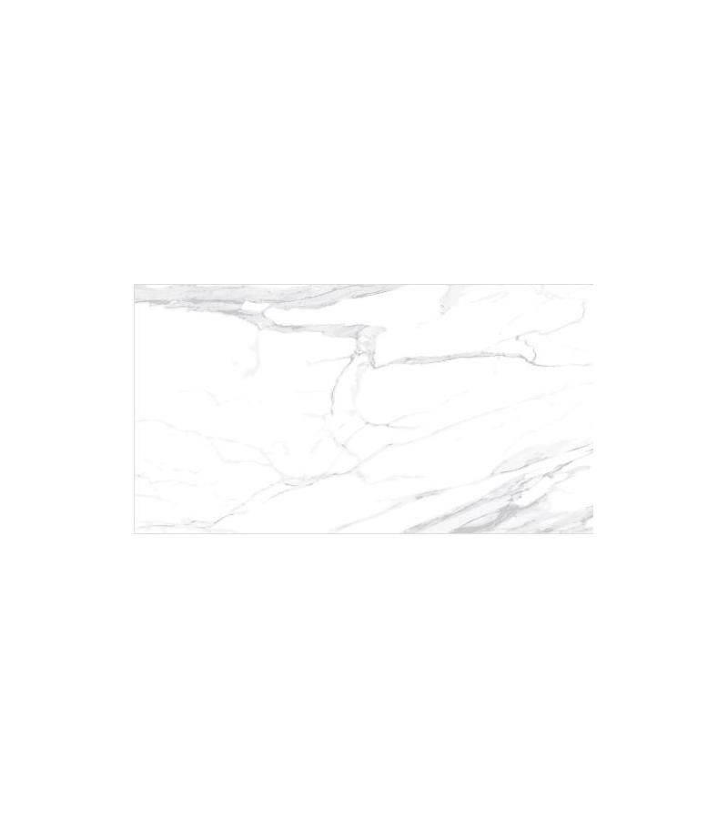 კერამოგრანიტი   FORTIS   WHITE   F. LAPPATO   R I N O  60*120