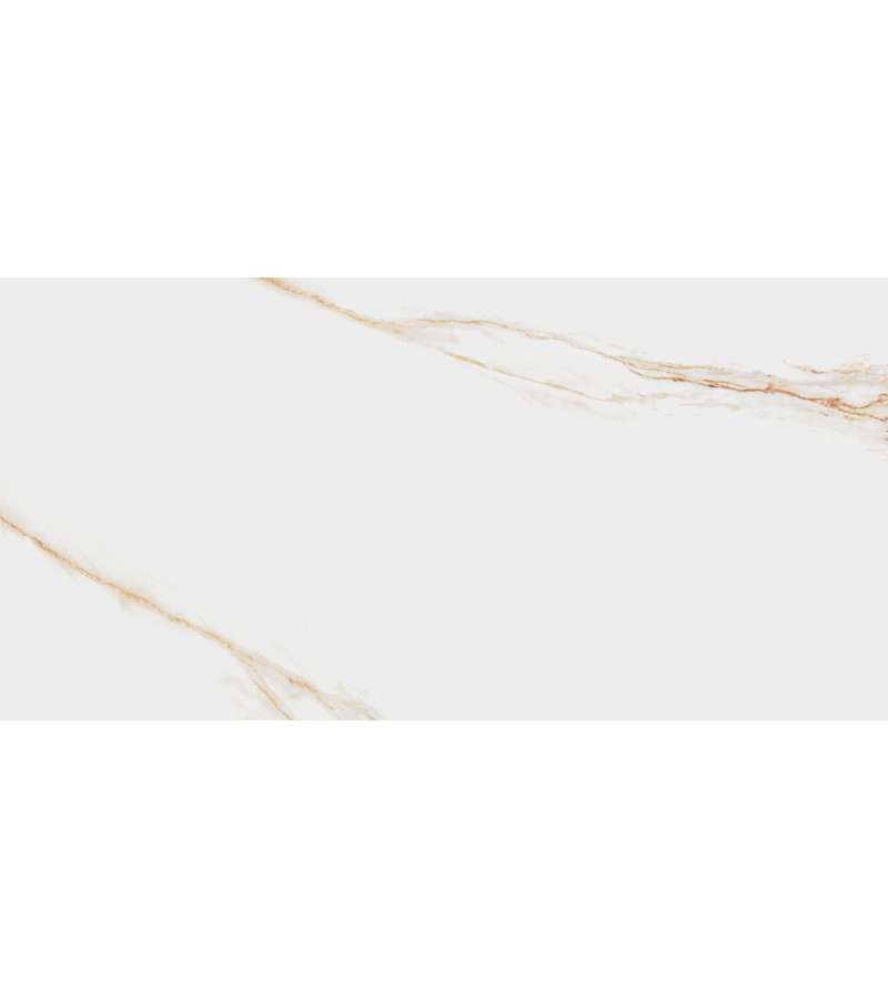 კერამოგრანიტი  AUREUS   60X120  LA  PLATERA   S.A.